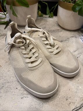 Suavs Knit Lace-Up Sneakers - Cream. M10 W12